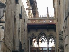 -巴塞罗那主教座堂