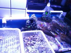 -路边摊小炉子烧烤