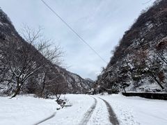 -西安祥峪森林公园