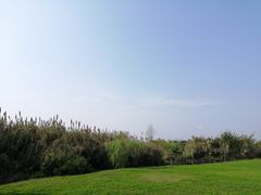 -眉山湿地公园(东坡区)