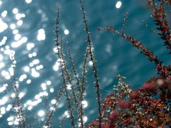 -九寨沟-树正沟