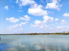 -贡湖湾湿地公园