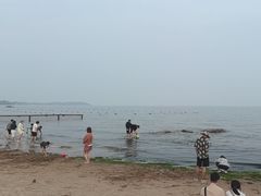 -老虎石海上公园