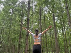 -黄海国家森林公园