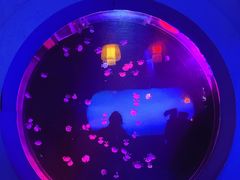 -太平洋海底世界