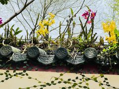 -深圳仙湖植物园