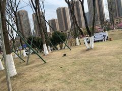 -府河摄影公园