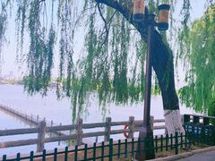 -济南大明湖景区