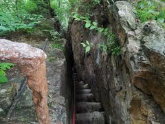 -天女山森林公园