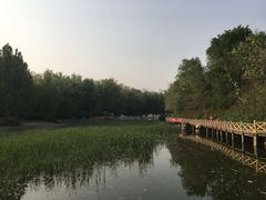 -云岗森林公园