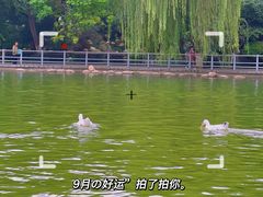 -莲湖公园