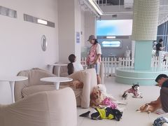 -怪兽屋·羊驼·猫咖·狗咖(俊华广场店)