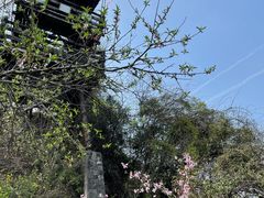 -张公山寨景区