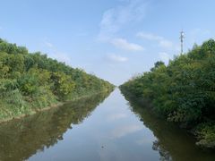 -黄海国家森林公园