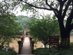 -百林公园-两江幸福广场