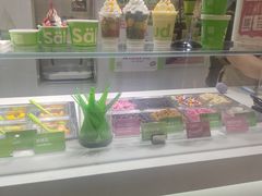 -Salud撒露欧洲冻酸奶(北苑上品店)