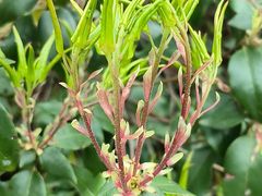 -天目湖御水温泉·度假酒店