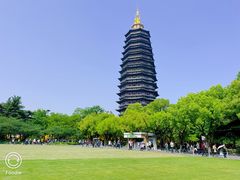 -红梅公园