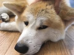 -YCHL Studios健身工作室(市二宫店)