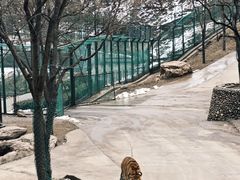 -栾川竹海野生动物园