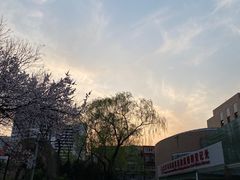 -双榆树公园