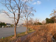 -上海山野camping·户外天幕烧烤·团建拓展营地