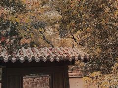 -惠山国家森林公园