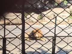 -大连森林动物园