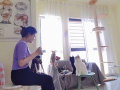 -团子家猫咪猫咖馆·柯基·柯尔鸭