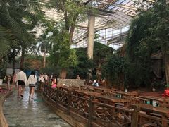 -龙达温泉生态城