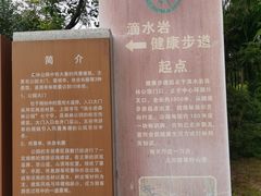 -滴水岩森林公园