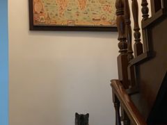 -猫的天空之城概念书店(苏州诚品店)