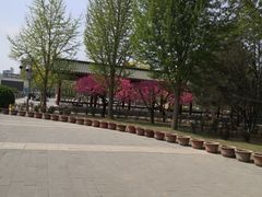 -莲花池公园