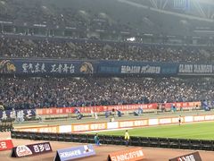 -南京奥林匹克体育中心-体育馆