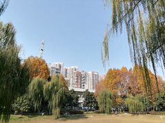 -堤角公园