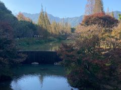-田野绿世界