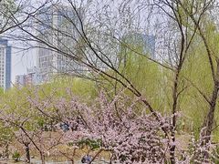 -元大都城垣遗址公园