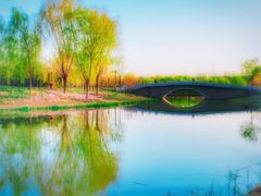 -东郊湿地公园