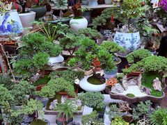 -苏州市皮市街花鸟工艺品市场
