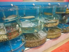 -烁佳海鲜大馅饺子