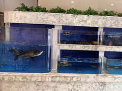 -香山湖渔家大院