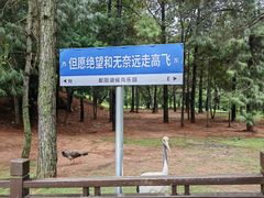 -鄱阳湖国家湿地公园