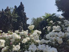 -人民公园(罗湖区)