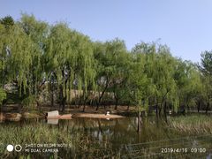 -石家庄市动物园