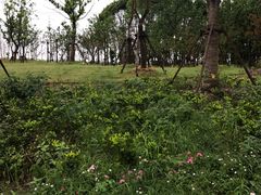 -上海浦江郊野公园-2号停车场