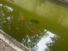 -阳明祠