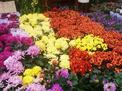 -重庆市江北嘴中央商务区中央公园