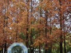 -唐城墙遗址公园