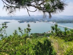 -千岛湖天屿景区
