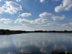 -上海海湾国家森林公园